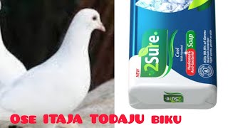 OSE ITAJA TODAJU BIKU #youtube #youtubetrending #subscribers