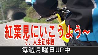 浦山ダムのダムカレーは時間制限がある  HONDA CB125F FORTUNE[モトブログ]