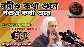 তুমি আল্লাহর হয়ে যাও, আল্লাহ তোমার হয়ে যাবে | হাবিবুল্লাহ মাহমুদ কাসেমী | Habibullah Mahmud Qasemi