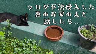 【保護猫】引っ越しまで問題が起きませんように