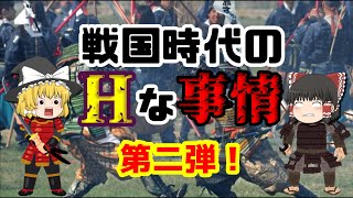 【ゆっくり解説】戦国時代の叡智な事情・第二弾！