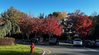 ROAD VLOG | Fall | Staten Island to Jersey City | Bayonne Bridge | Oct 2024