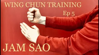 WING CHUN TRAINING Episode 5 : JAM SAO