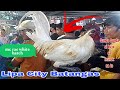 Bentahan Ng mga Quality manok... Lipa City batangas..