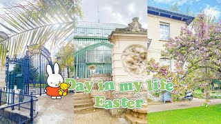 MIFFY POP UP, LINDT, PARIS GREENHOUSES