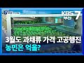 3월도 과채류 가격 고공행진…농민은 억울? / KBS  2024.03.12.