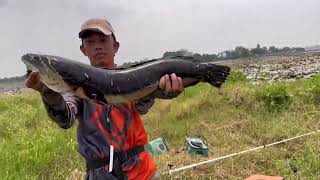 បបក់ត្រីឆ្ដោនៅតាកែវ fishing for snakehead fish