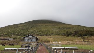 《晴れれば絶景！八丈島を見渡せる。 》観光スポット：ふれあい牧場【八丈島東京都】（20240224撮影）