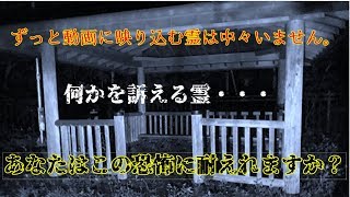 【鳥肌１０夜】【閲覧注意】ジサツの名所に起きた怪奇現象！ガチリアル霊の声をお聞き下さい【終盤】鳥肌史上最大の恐怖霊現れます。