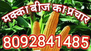 मक्का बीज का प्रचार/Makka Beej ka prachar/Maize Seeds Audio Prachar/खाद-बीज/Khaad-Beej