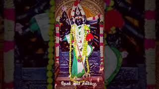 Mecheri 🌿Bhadrakali Amman 🙏WhatsApp status video     @ WhatsApp status edit Tamil