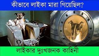 লাইকার আসল নাম কি ছিল – লাইকা কীভাবে মারা গিয়েছিল  Laika Dog – First Animal in Space