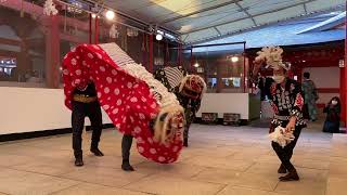 生田神社 初舞の奉納（2022年1月2日、神戸生田神社獅子頭保存会）