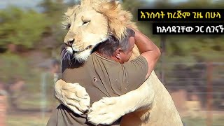 ከረጅም ጊዜ በኋላ እንስሳት ከአሳዳጊያቸው ጋር ሲገናኙ | Ewqate Media | እውቀት ሚዲያ