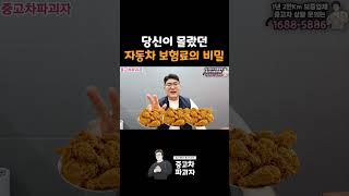 내 차 보험료가 비싼 이유