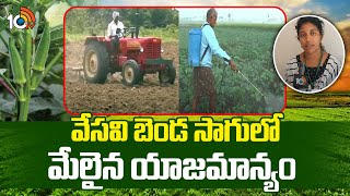 Lady Finger Cultivation | వేసవి బెండ సాగులో మేలైన యాజమాన్యం | Matti Manishi | 10TV News