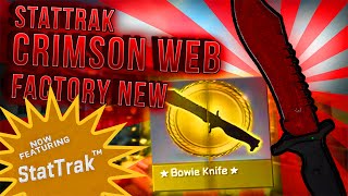 STATTRAK BOWIE CRIMSON WEB FACTORY NEW UNBOXING (BY MY FRIEND)