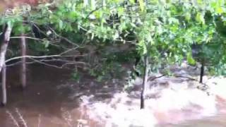 Hurricane Irene flooding in Lenape Park