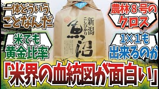 「お米界のサンデーサイレンスです」に対するみんなの反応集