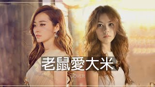 G.E.M.鄧紫棋【 老鼠愛大米 】Lyric Video 時代的記憶 老鼠愛大米13歲了