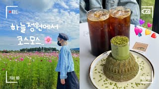 [ VLOG ]인천 코스모스 스팟을 소개하지🌸| 영종도 하늘정원 | 영종도핫플 | 영종도맛집 | 영종도카페 | 취리희 | 지금이곳 | 을왕리빵판다 | 개똥이네조진다 조개구이 |