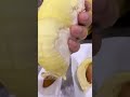 durian monthong fruit with tasty delicious flesh shorts