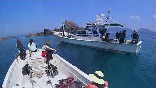 【FUNダイビング】坊津秋目の海のご案内　鹿児島の海　鹿児島のダイビング