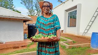 How To Cook Authentic Traditional Vegetables// African village Life.