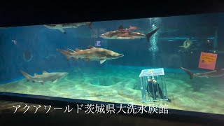 【水族館巡り】アクアワールド茨城県大洗水族館/Aqua World Oarai