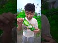 Anh Em Tham Ăn Kẹo Kem Socola , Ăn Bim Bim Mất Vệ Sinh / Funny Video Eat Candy I Cream