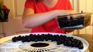 How To Make Dehydrated Blueberries ~ Vegan Vegitarian Paleo Recipe