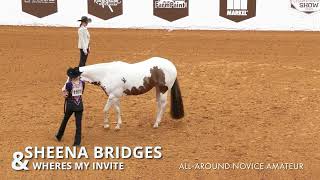 2023 APHA World Show All-Around Novice Amateur