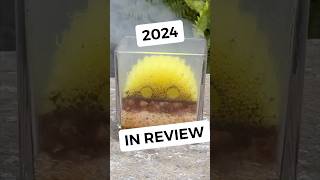 Best Science Experiments For 2024! 🧪💯💥