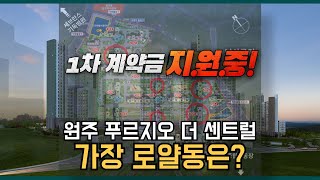 원주 미분양 아파트 푸르지오 더 센트럴, 관건은 R.R 세대 선점