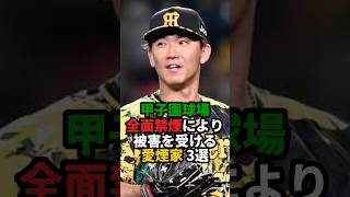 甲子園球場 禁煙の被害者 3選#shorts #プロ野球 #阪神タイガース #野球 #やきゅスト