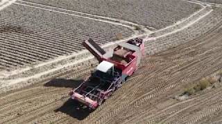 Aardappelen rooien met Agri Van Damme 2018