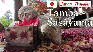 ［Japan Traveler］Beautiful Japanese autumn leaves and castle in Tamba Sasayama, history rich region