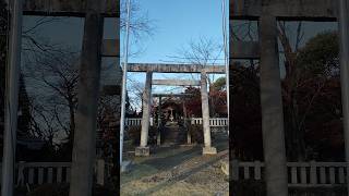 神社に行きました・神明神社・岐阜県笠松町円城寺・木曽川の外堤防の中にあります。鳥居を2つ通って拝殿です、その天井のすばらしさが心に残ります。#心安らぐ#お参り#神社巡り