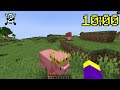 Finding The Rarest Minecraft Mobs in 24 Hours!