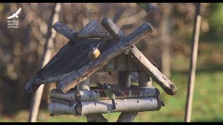 Jans Tierleben: Folge 1 – Vögel am Futterhäuschen