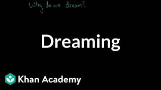 Dreaming | Processing the Environment | MCAT | Khan Academy