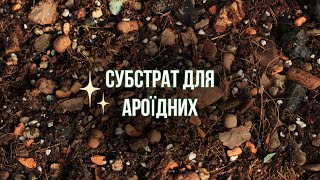 СУБСТРАТ ДЛЯ АРОЇДНИХ #tutorial #diy