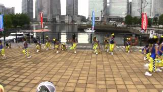 夢鵜舞じゅにあ（ハマこい踊り2012・運河パーク）