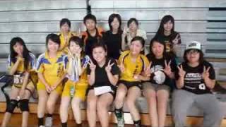 2008中正勞工女排招生