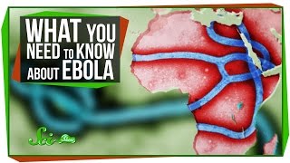 What You Need to Know About Ebola