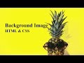 css background image