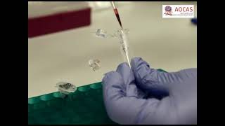 Isolation and Propagation of Circulating Tumor Cells from a Mouse Cancer Model
