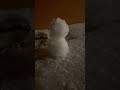 なんか寒いと思ったら☃️ 富良野 shorts 雪 北海道