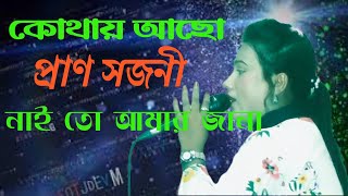 কোথায় আছো প্রাণ সজনী /নাই তো আমার জানা /পাইতাম যদি তোমার ঠিকানা / নতুন শিল্পী গান  /SIYAM MIDEA 2.0