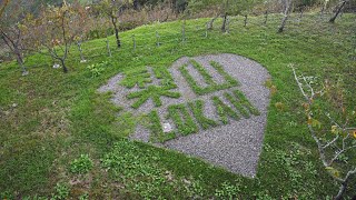 寒山老人 ~ 慢活漫遊 梨山福壽山在這楓紅滿山的季節，紅黃交錯，漫步在楓葉湖畔，拍花賞鳥，幸福！